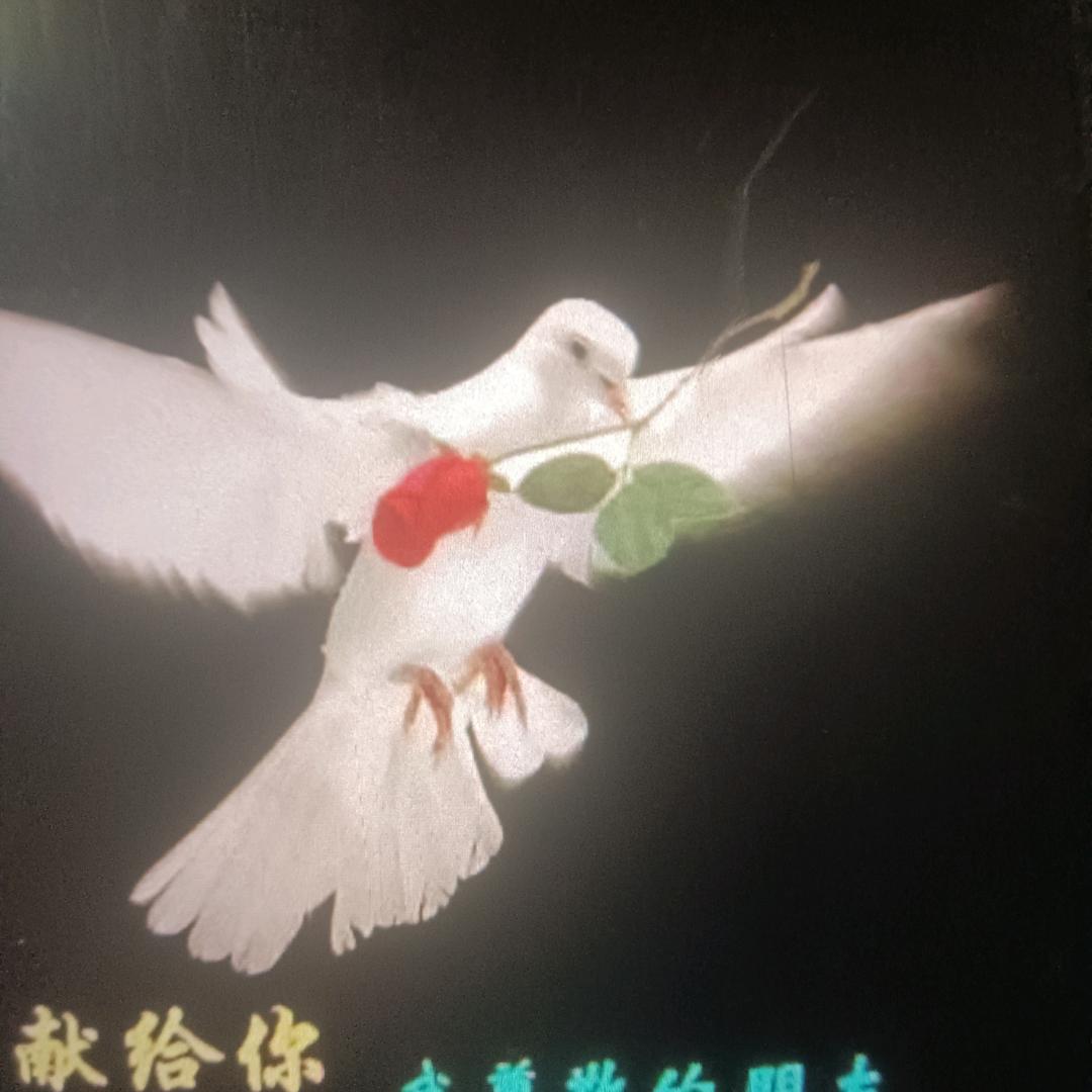 我是我