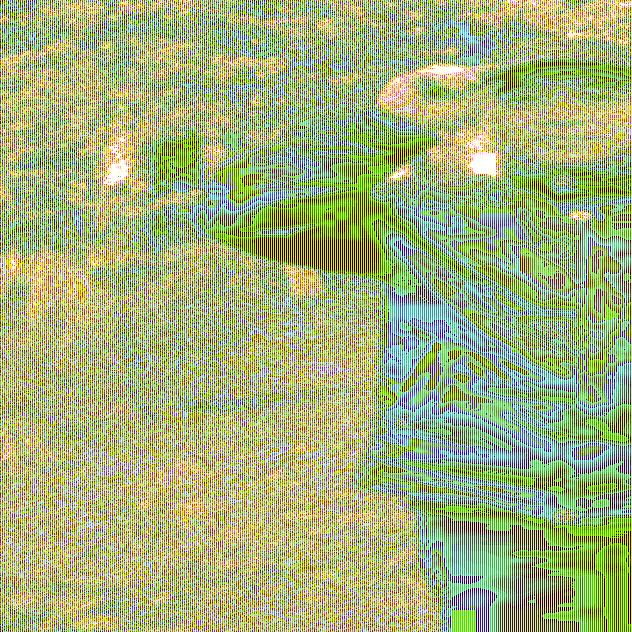 东岳