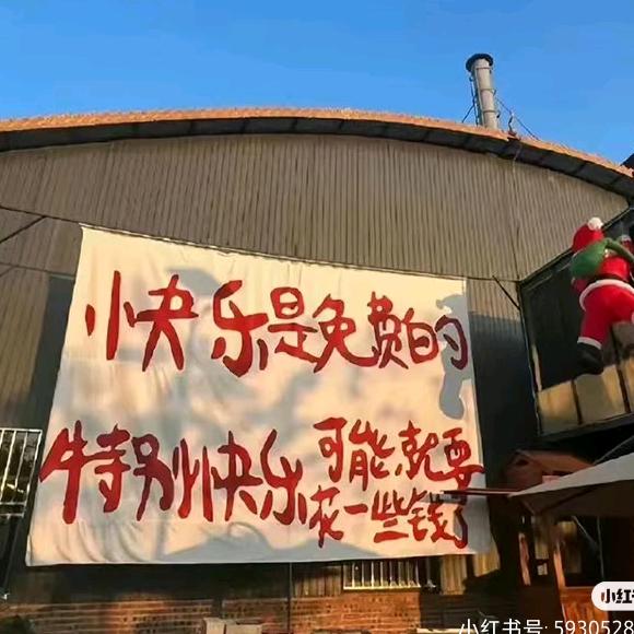 张醉醉
