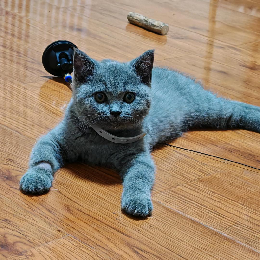 孩子快跑六分仪