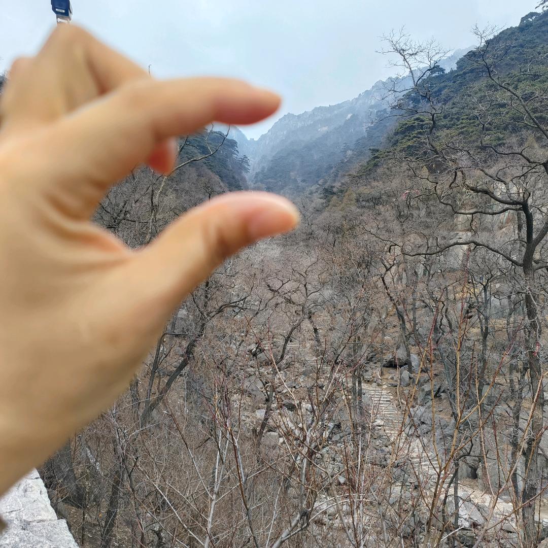 ꧁༺影子༻꧂。