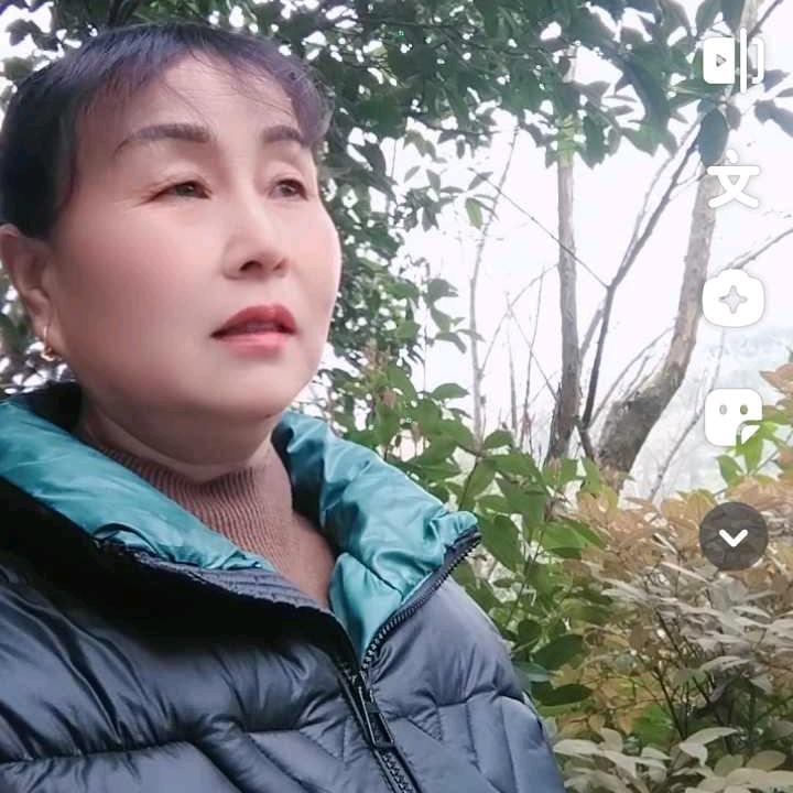 王凤姐