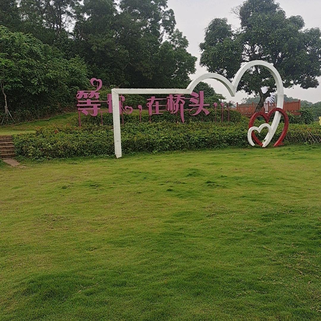 阿波