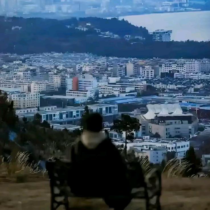什么是i