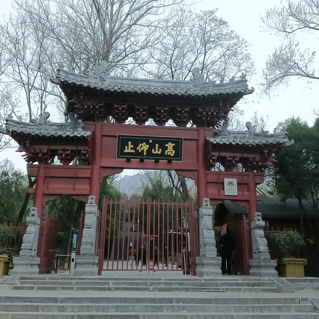 菩提树