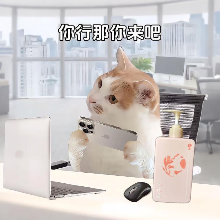叁仟缕显眼包（实习版）