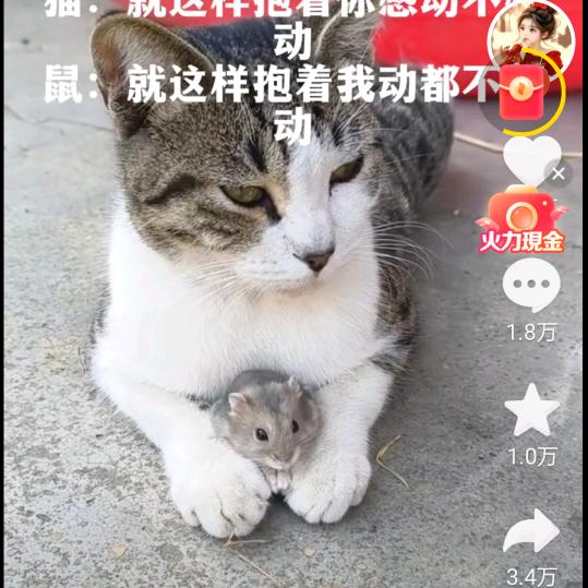 冰山一角