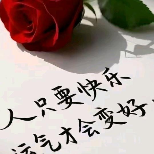 🌹美好🌹