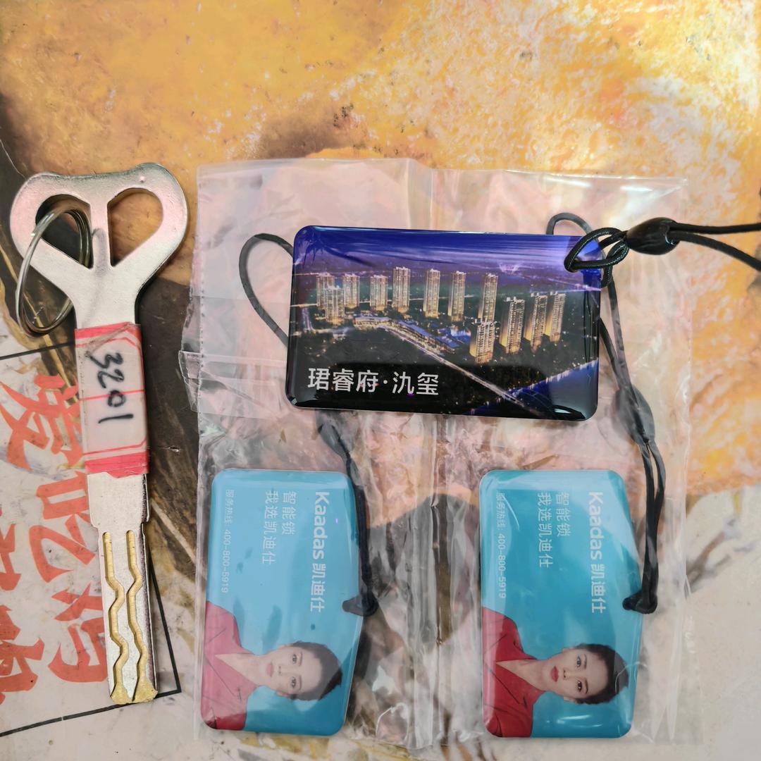 天上的飞鱼