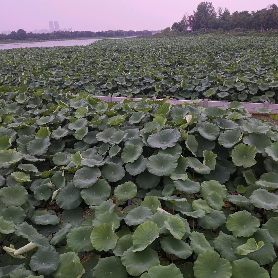 用户6866537472915笑对人生