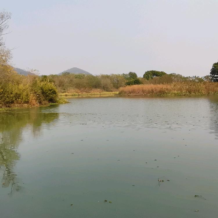 山水情怀<爱好户外>