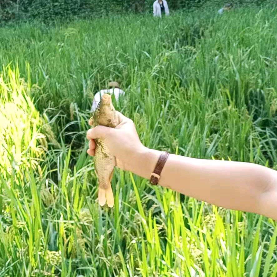 工地上的小姐姐