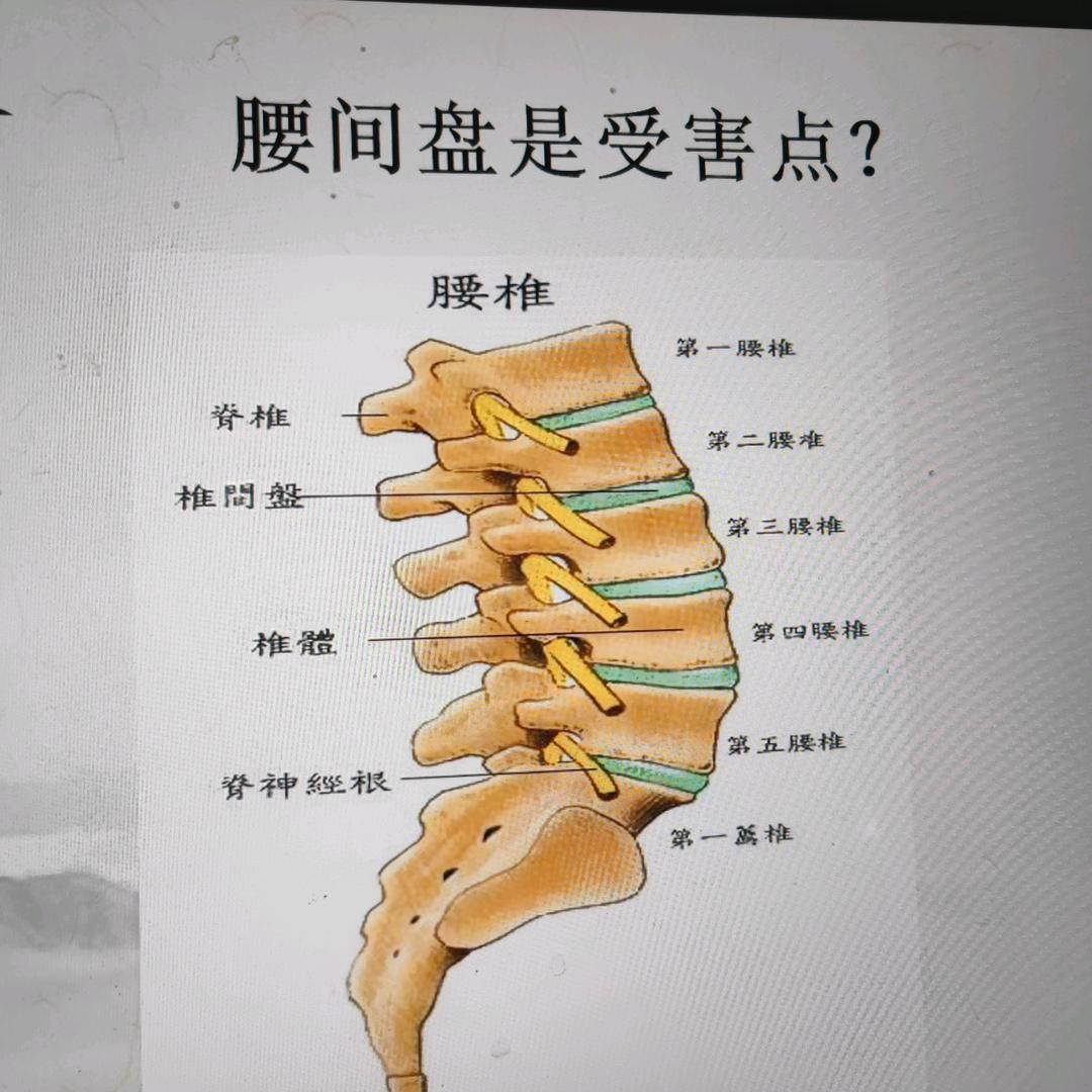 沛县康维居&健康调理