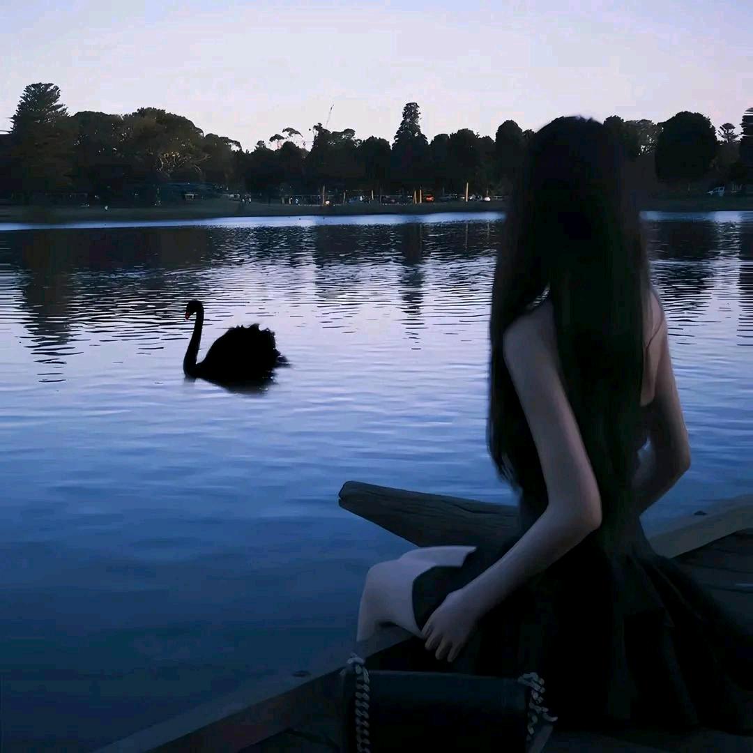 云深深~