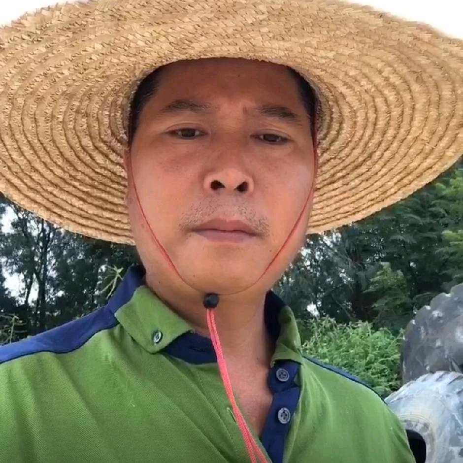 一叶漂萍
