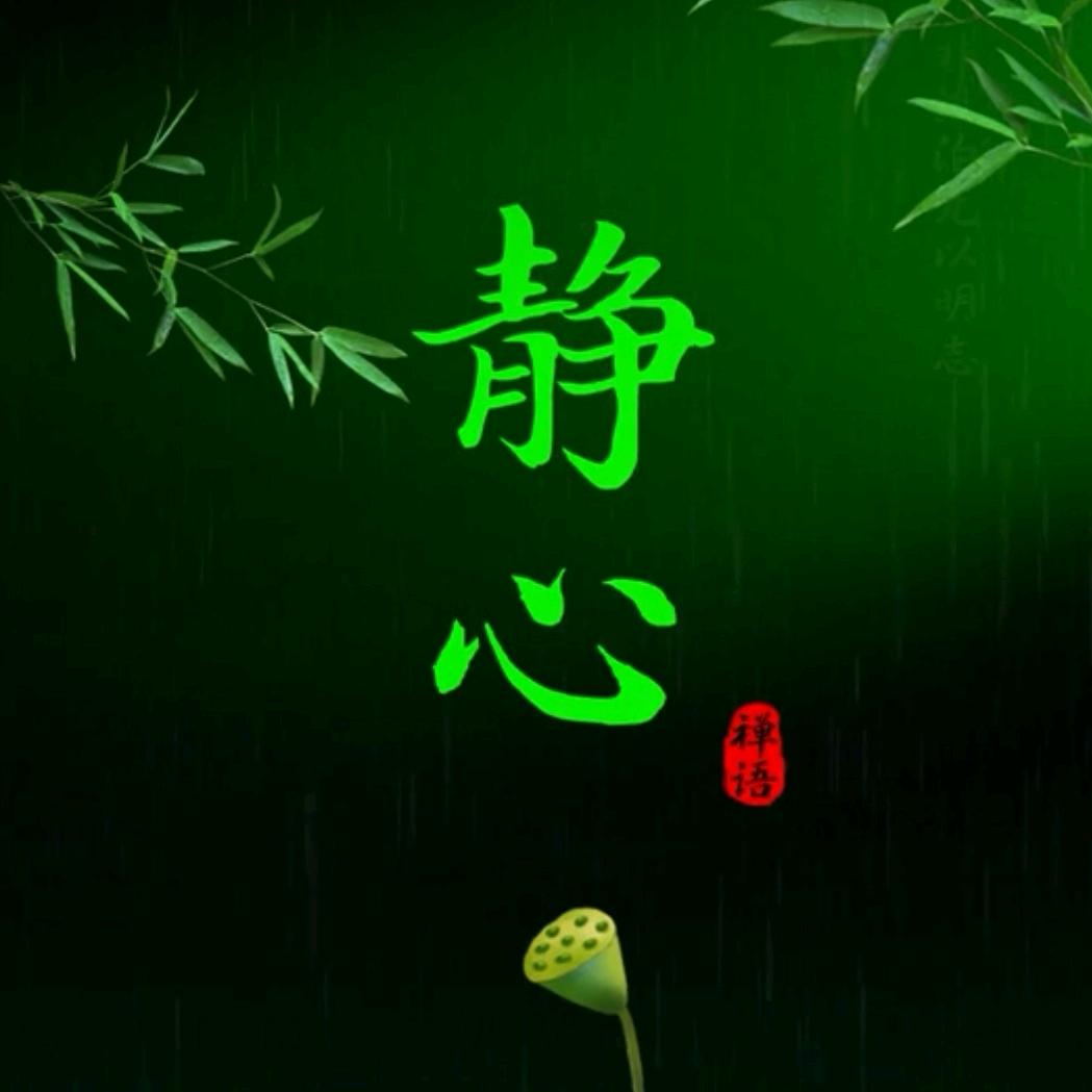 好好珍惜qq