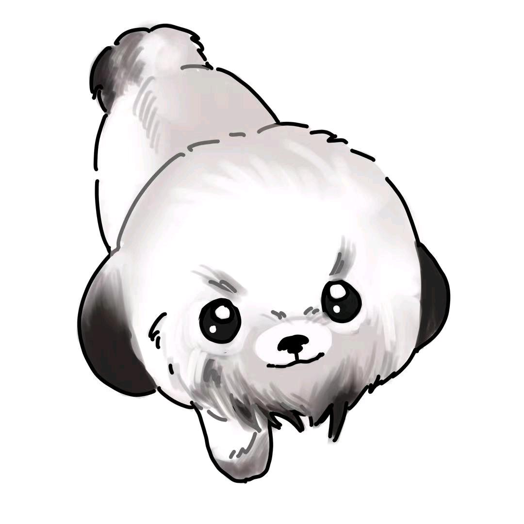 齐於古藏（小玩家发烧友）