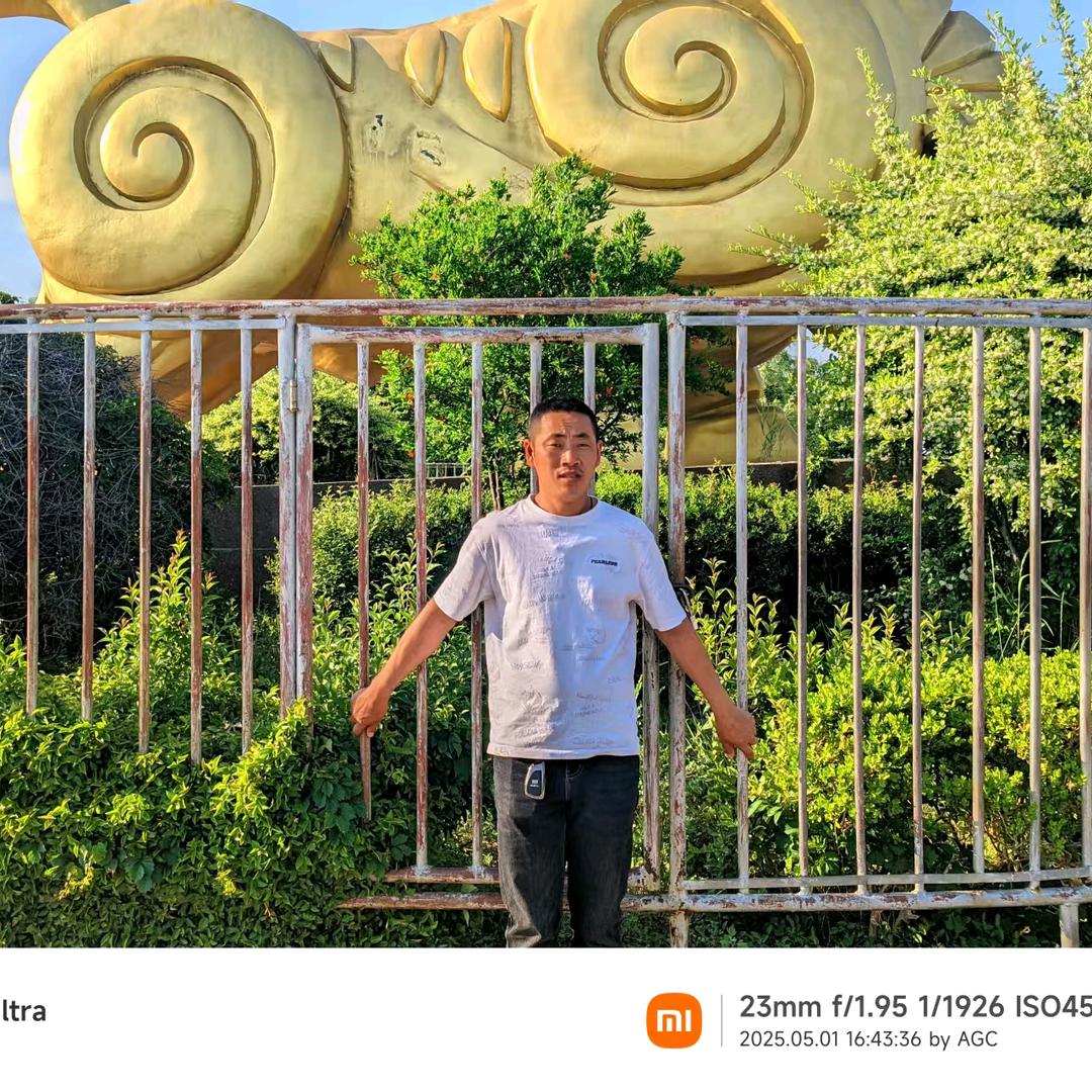 ●)o(●摆渡
