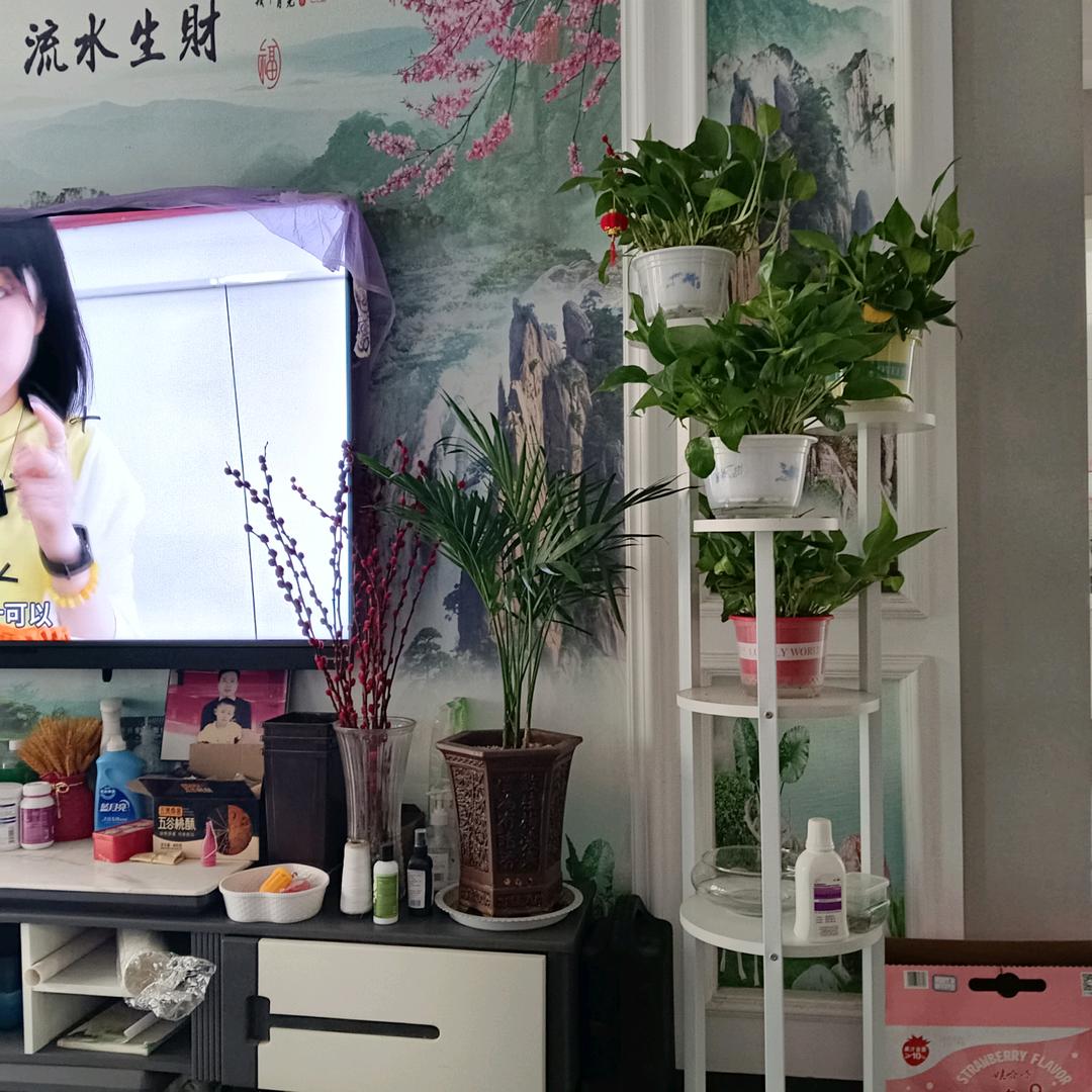 从头再来