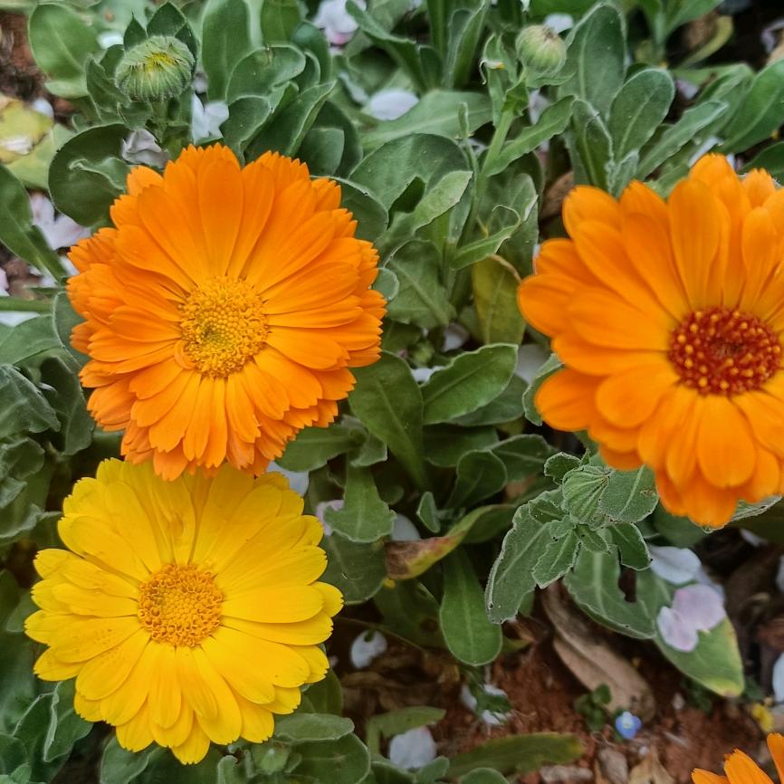 忘掉过去从新开始