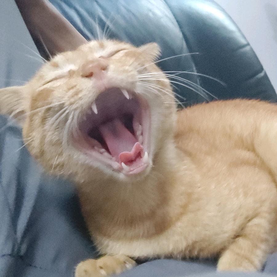 血盆大口