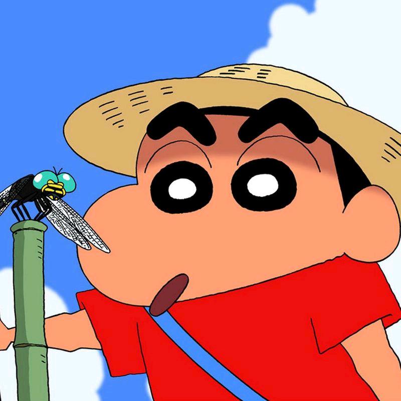 新小新