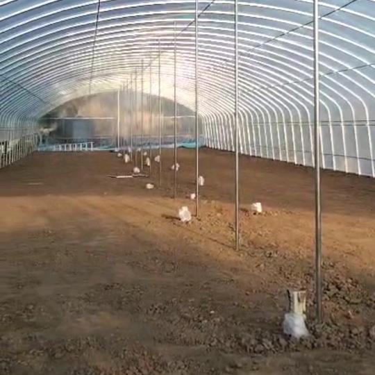 温室大棚厂家直销