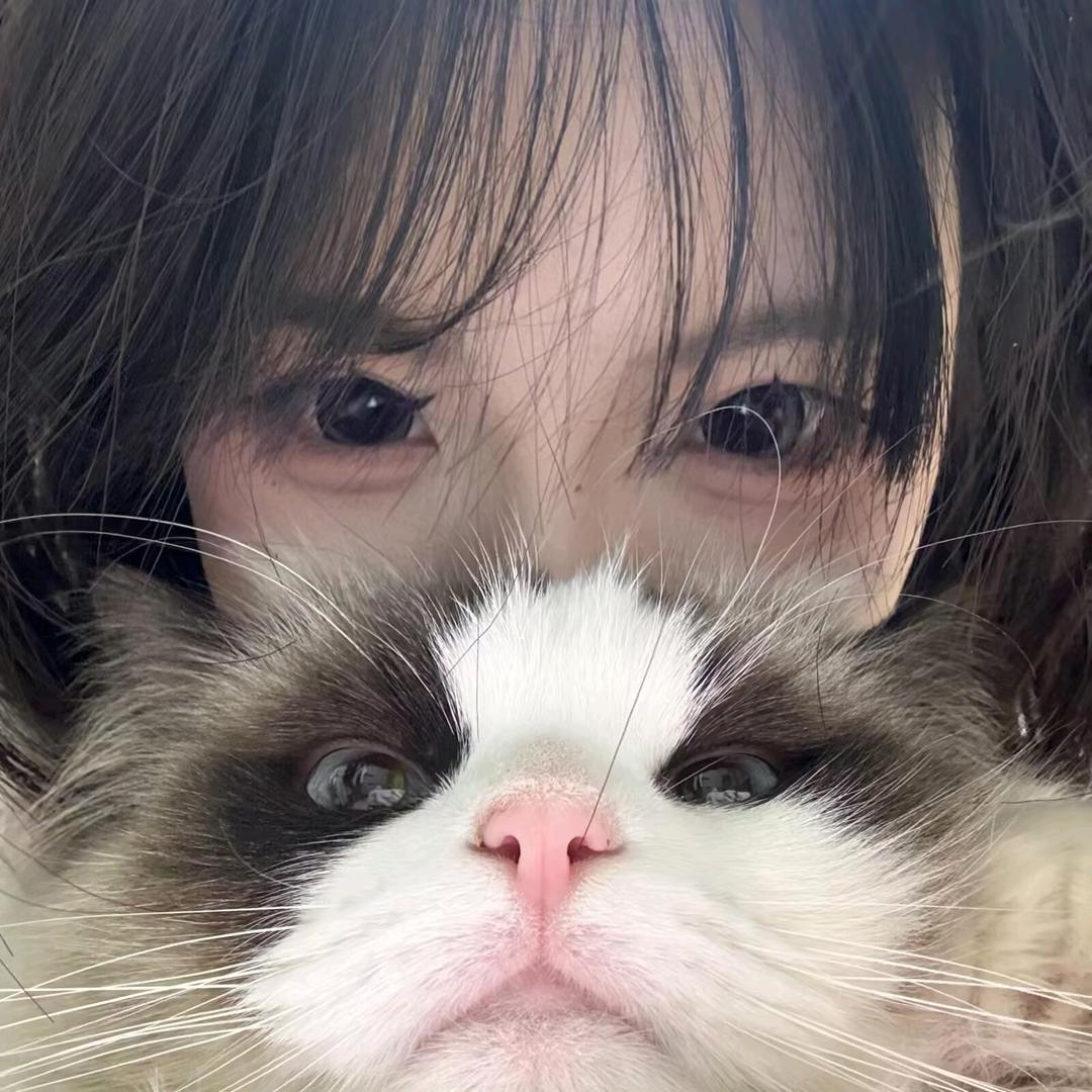 霜藏冬