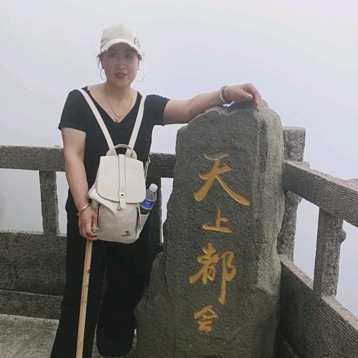 王莉莉