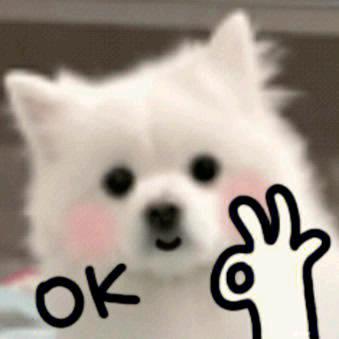 豆豆好物分享，