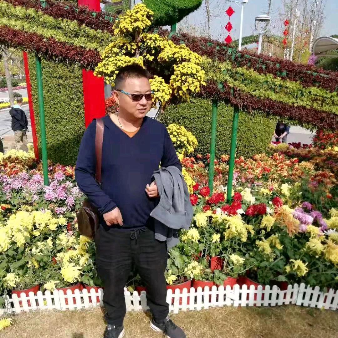 紫霞如梦