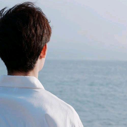 重生之我在夫子庙做牛马