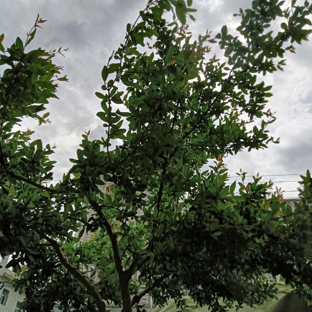 有缘人千里来像会