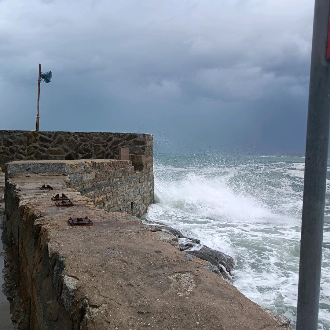 阿强（重头再来）