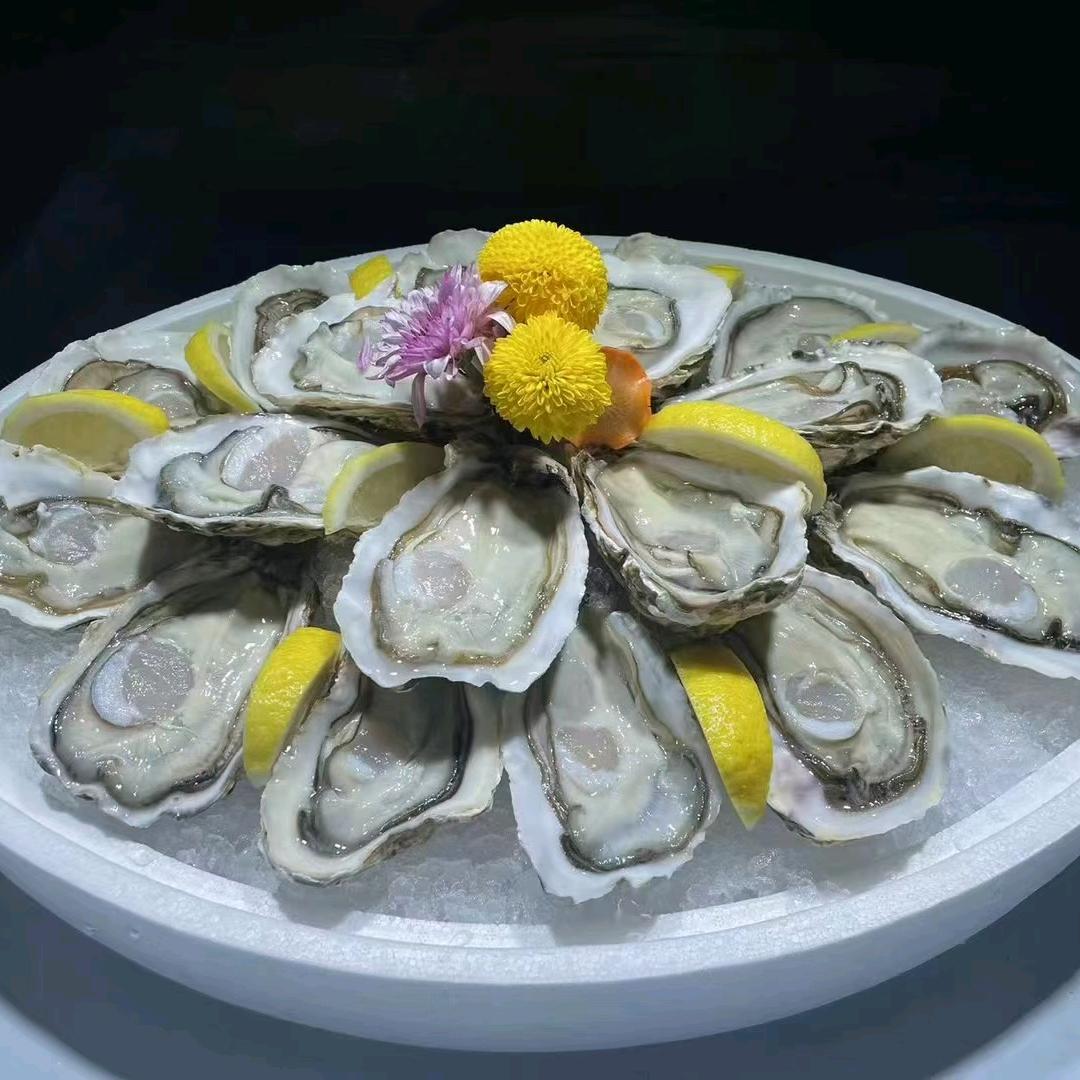 乳山生蚝批发  昆明总店