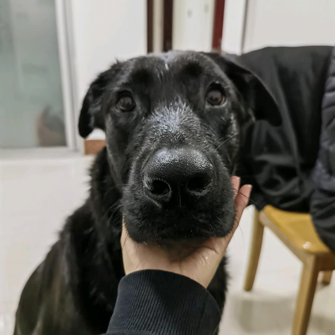 小白不白