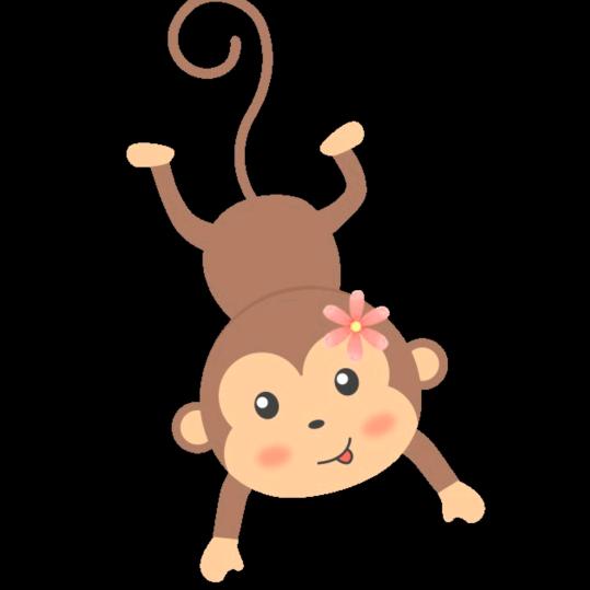 小猴子🐒