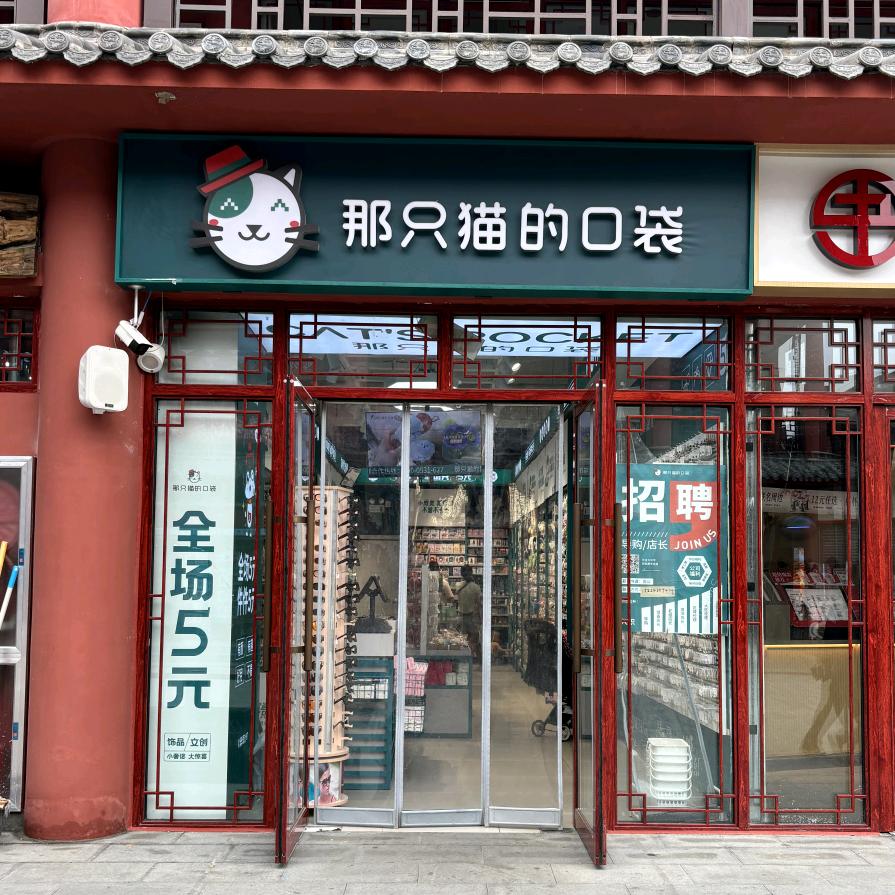 开封市鼓楼区书店小街那只猫的口袋