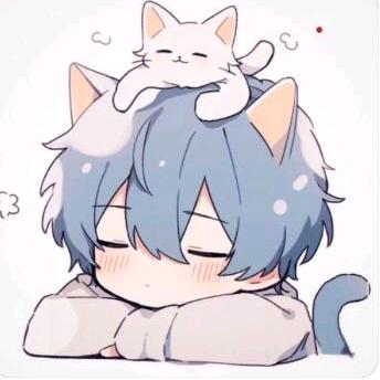 kitten