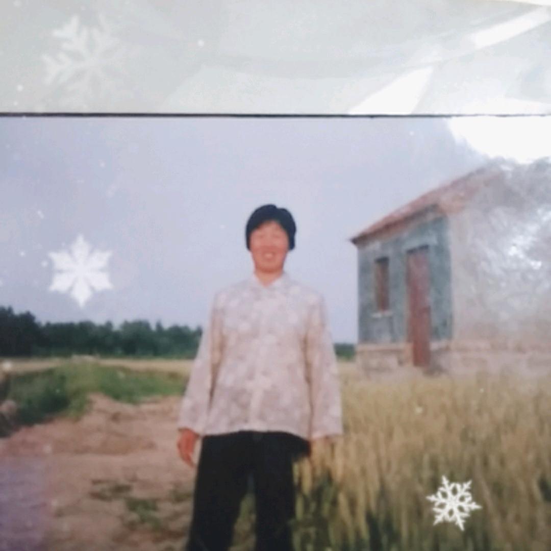 不落的夕阳