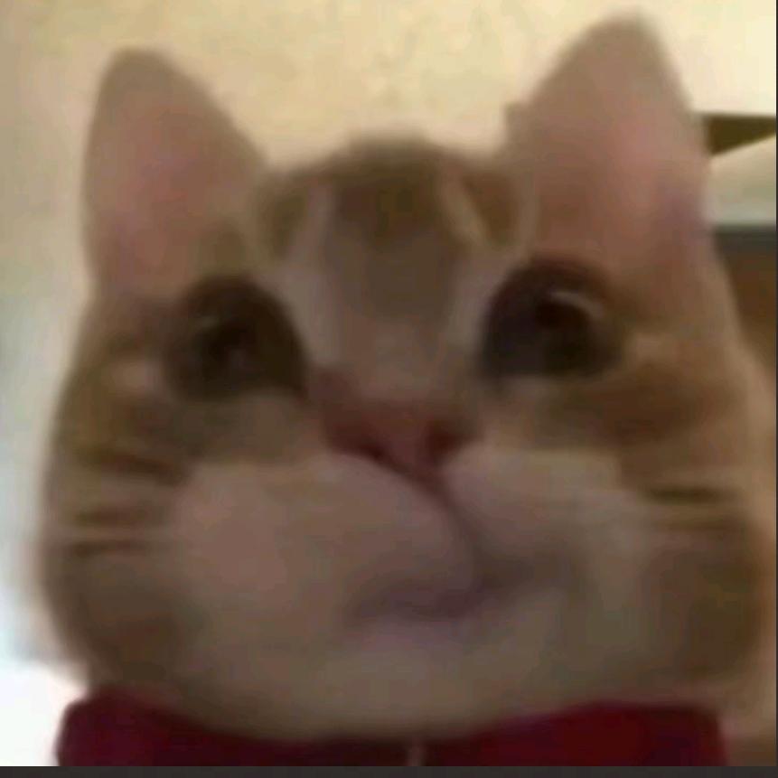 风行