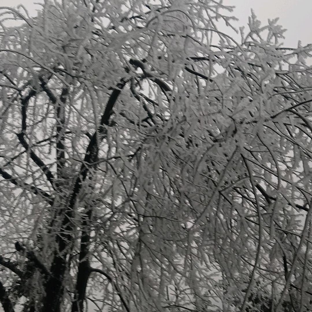 昙花一现