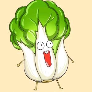 白菜（沉淀中）