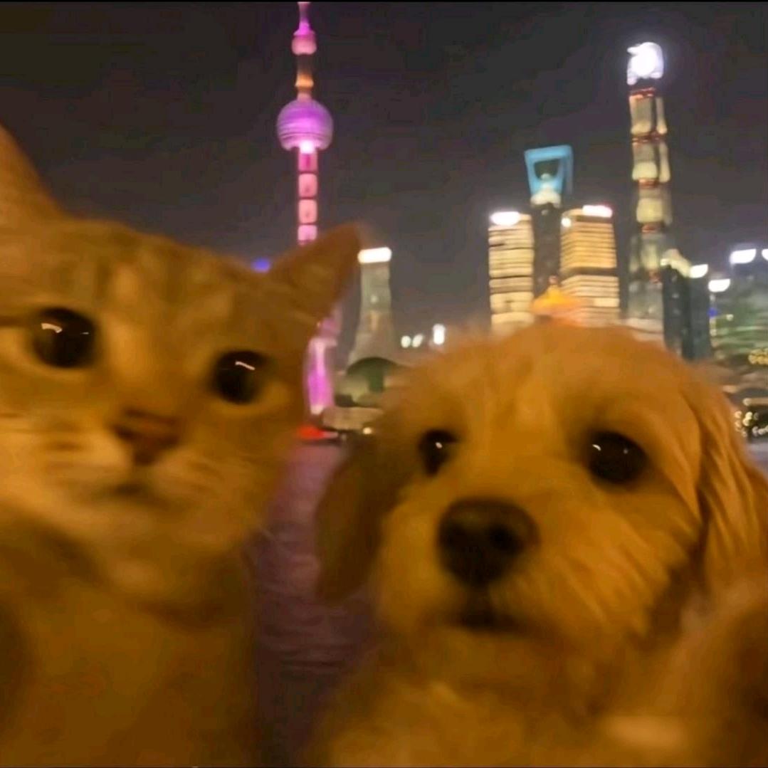 盛夏白瓷梅子塘