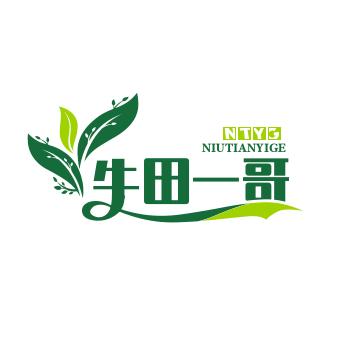牛田一哥《不定时直播》归哥