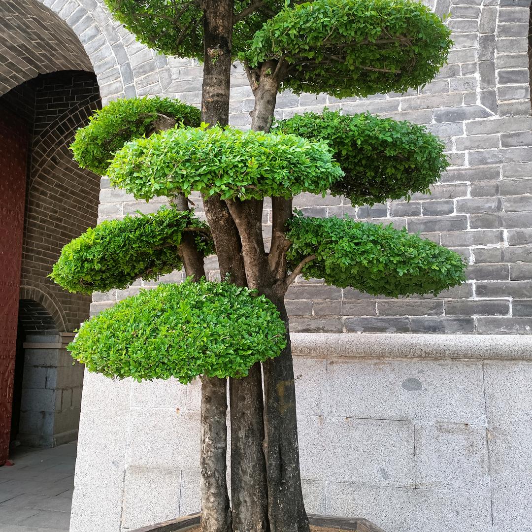 努力拼博