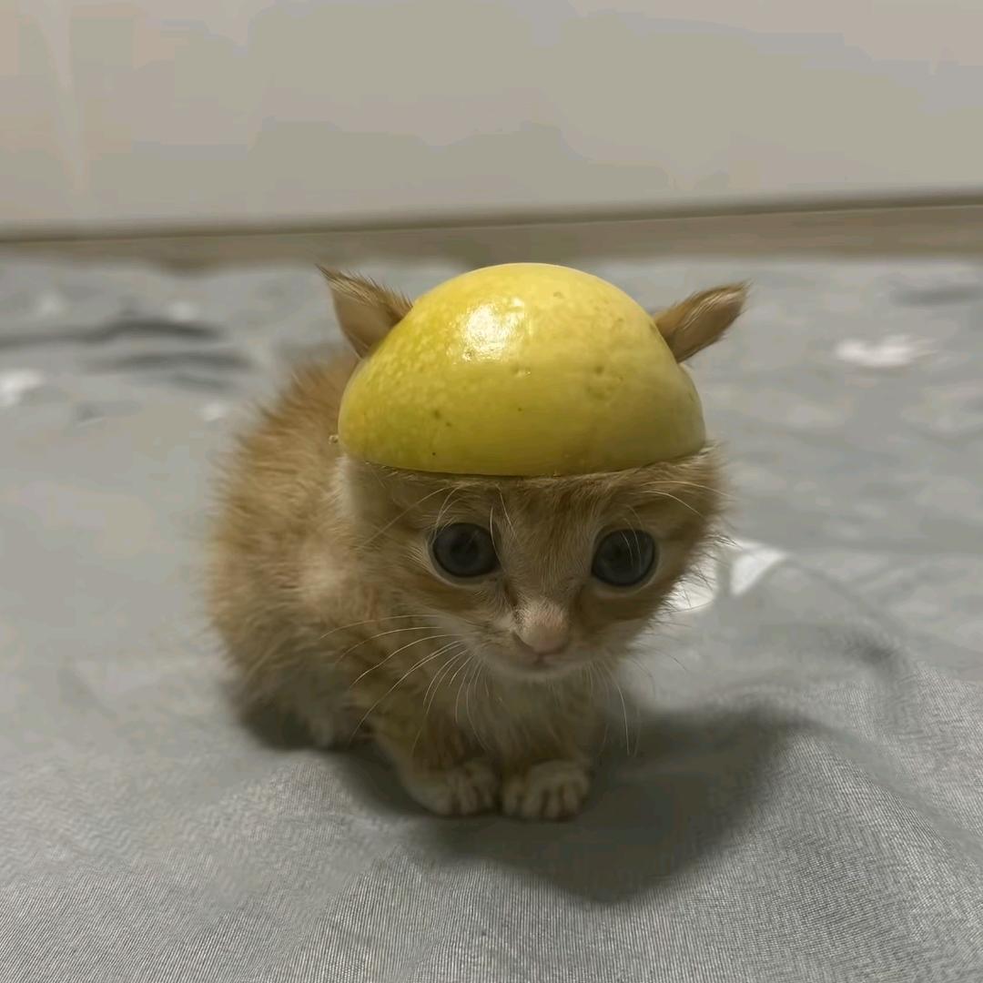 派小小星头像