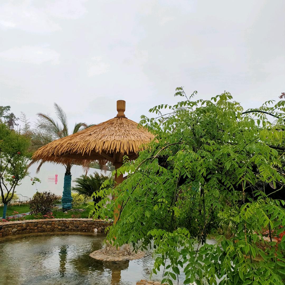 赠人玫瑰手留余香