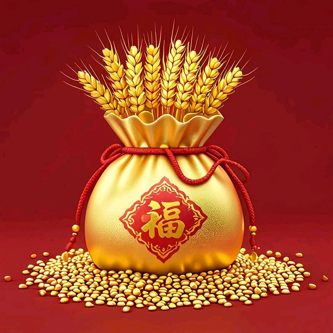 禾苗