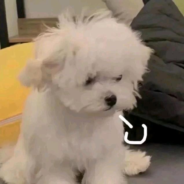 @小帅